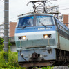 武蔵野線馬橋支線　EF66101