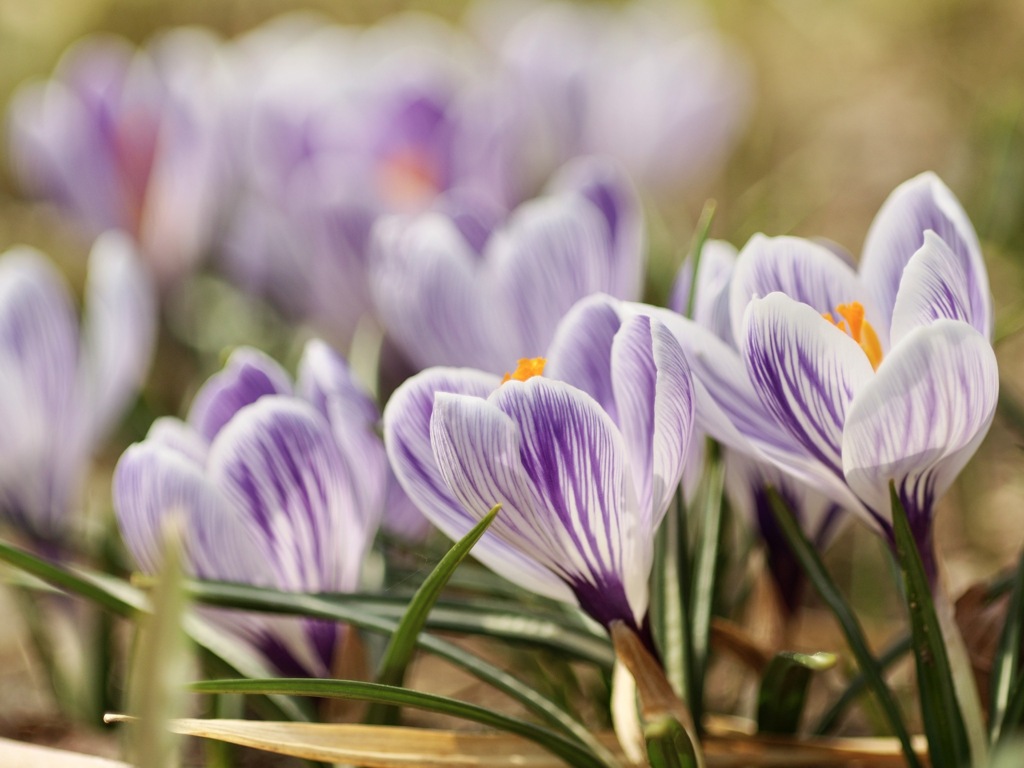 オレンジがアクセント