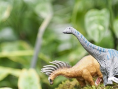 温室の小さな恐竜