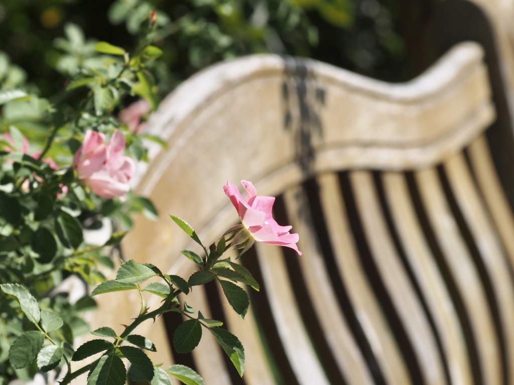 ちょっとひと休み