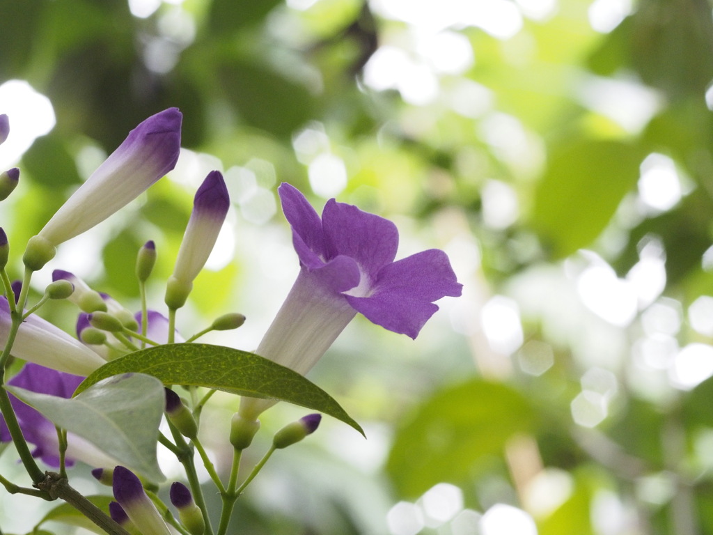 やさしさに包まれて2