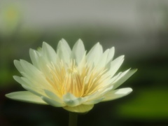 良いお年をお迎えください！