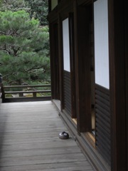 静謐　　両足院にて