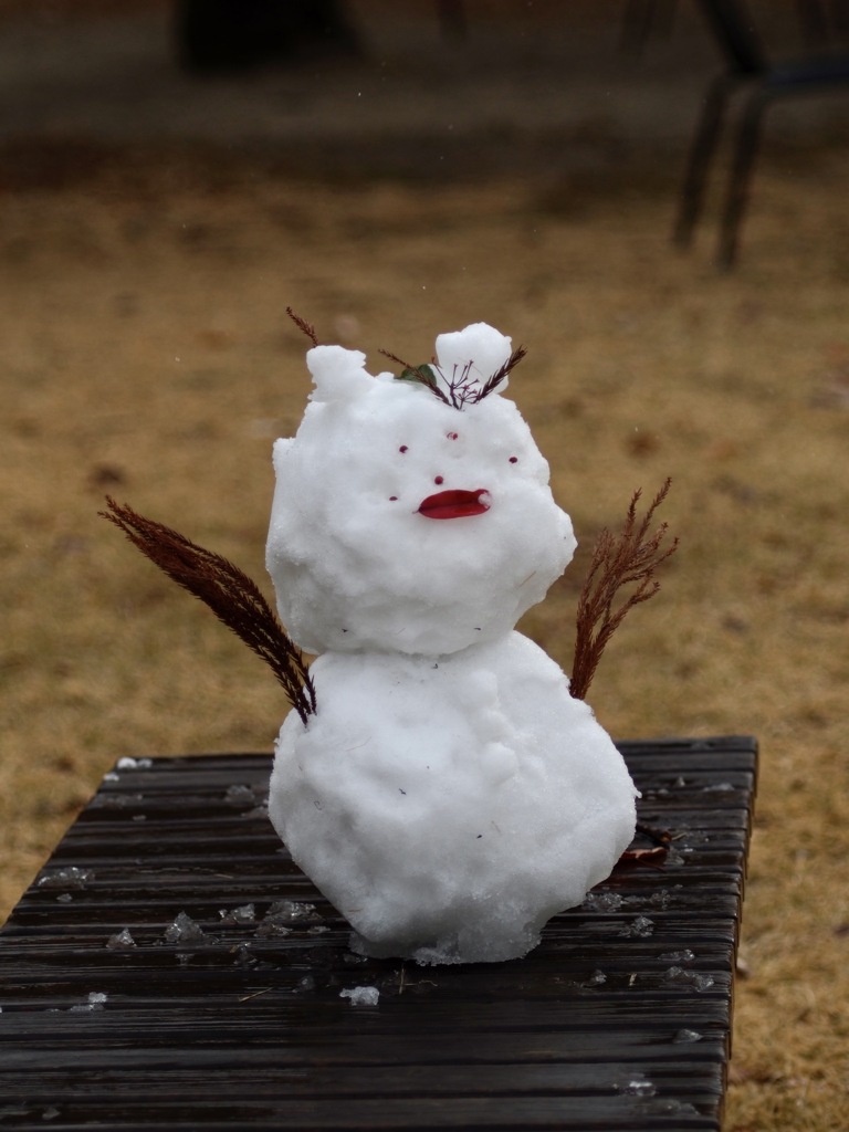 植物園の雪だるま