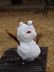 植物園の雪だるま