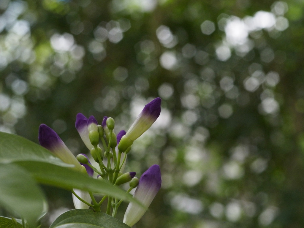 やさしさに包まれて1