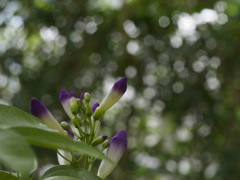 やさしさに包まれて1