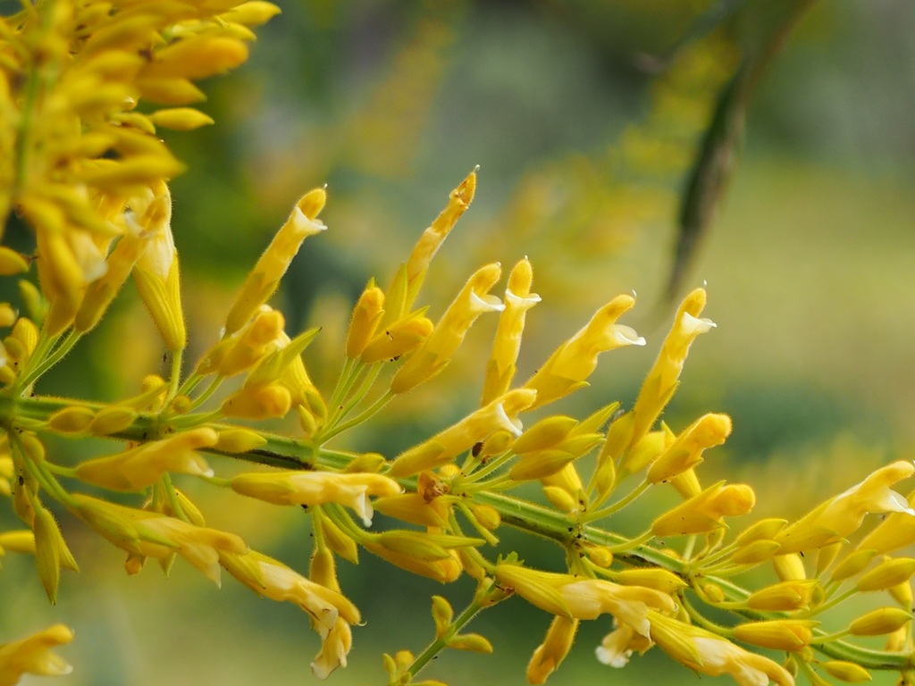 エサを待つ子供達