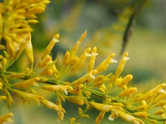 エサを待つ子供達