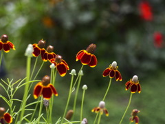空に向かって発射〜