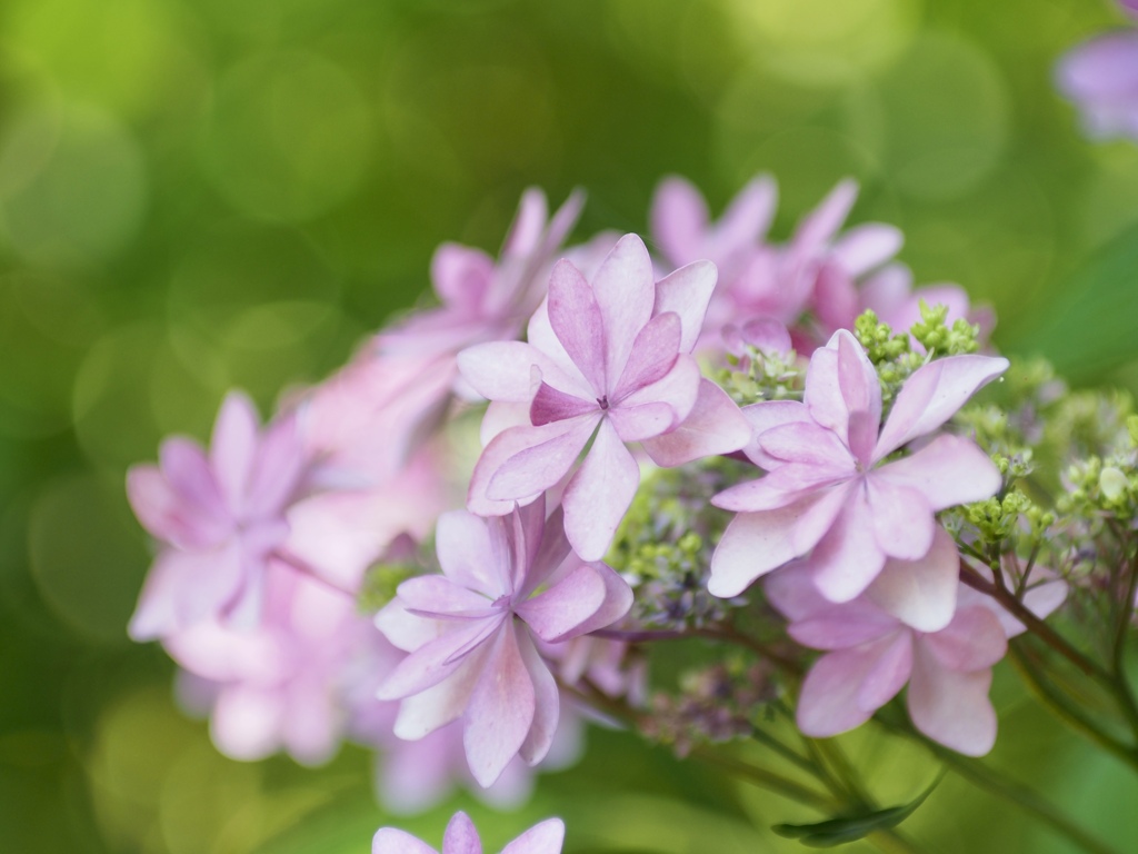 ダンスパーティ