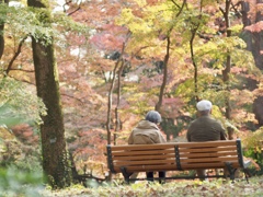 ほどよい距離感のおふたり