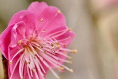 もう一つの世界