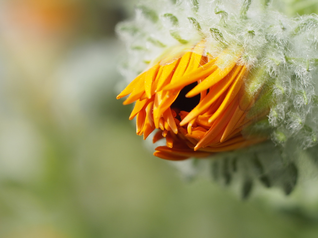 もうすぐです。