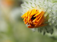 もうすぐです。