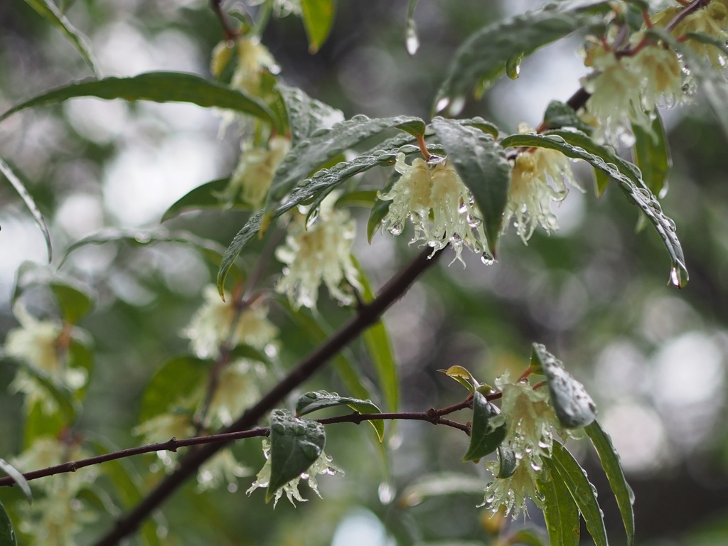水も滴るいい・・・