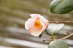 噴水をバッグに