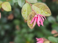 ケンカしてないで雨宿りしよう