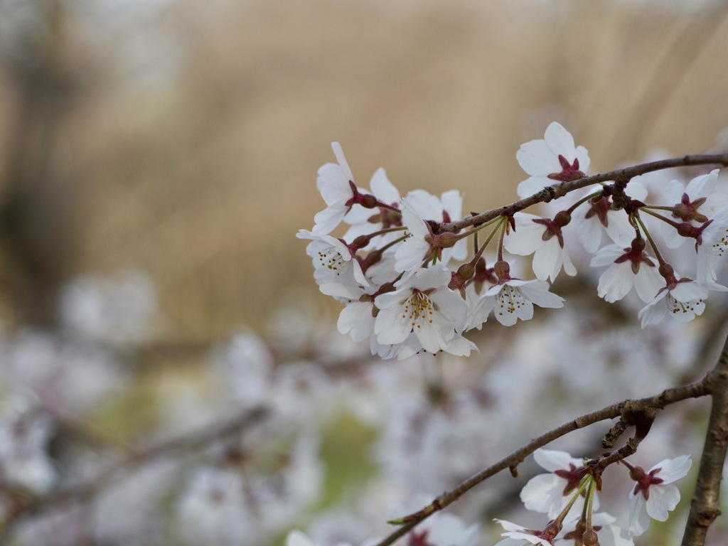 今このひととき