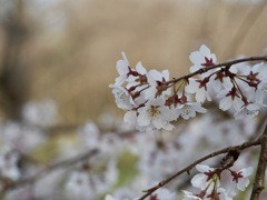 今このひととき