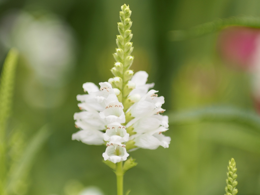 笑顔がいっぱい