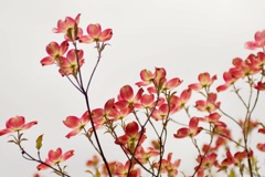 空を押し上げて