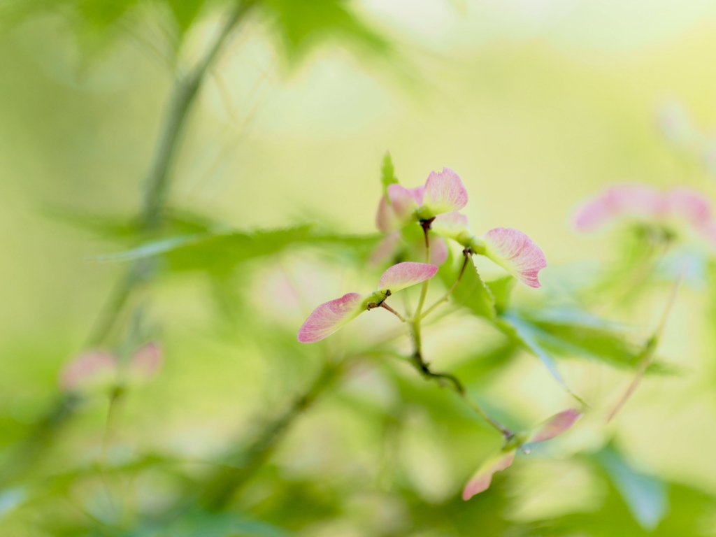 やさしさに包まれて
