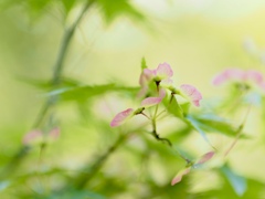 やさしさに包まれて