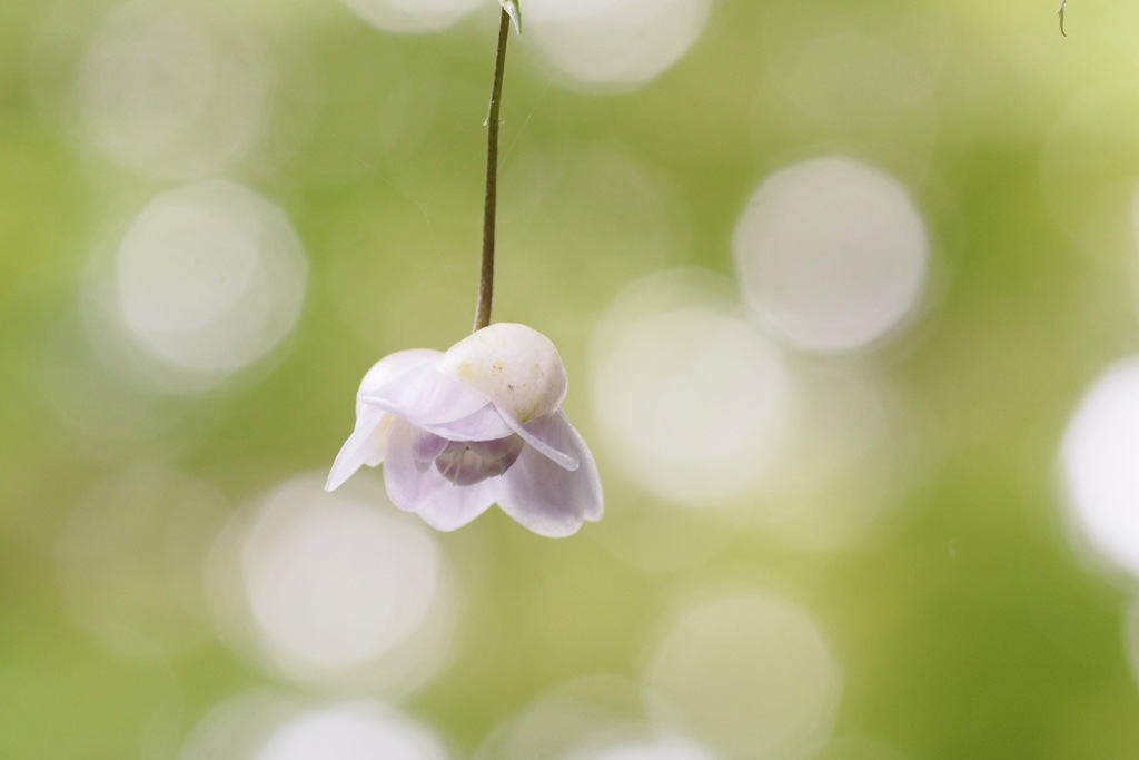 もうすぐお別れ