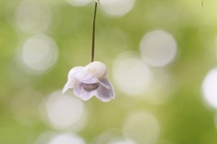 もうすぐお別れ