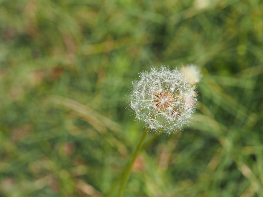 これから飛びます