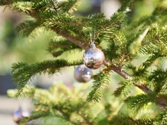 クリスマスツリー