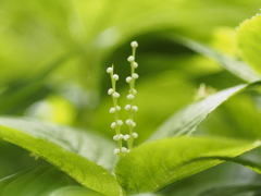 寄り添って　フタリシズカ