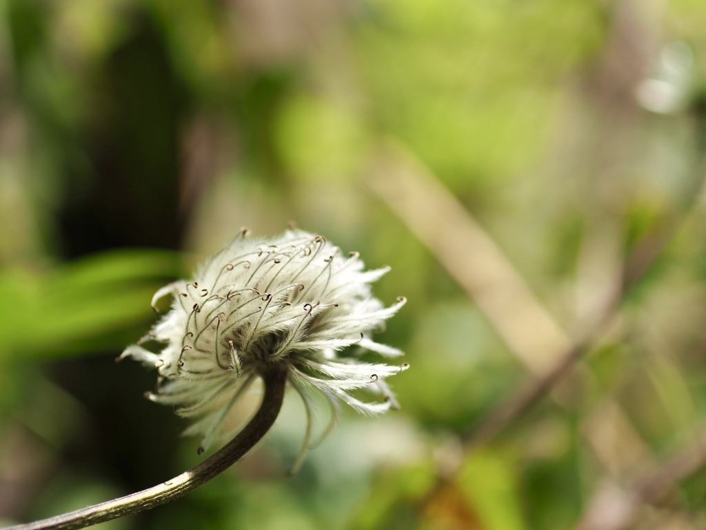 きれいな髪だね！