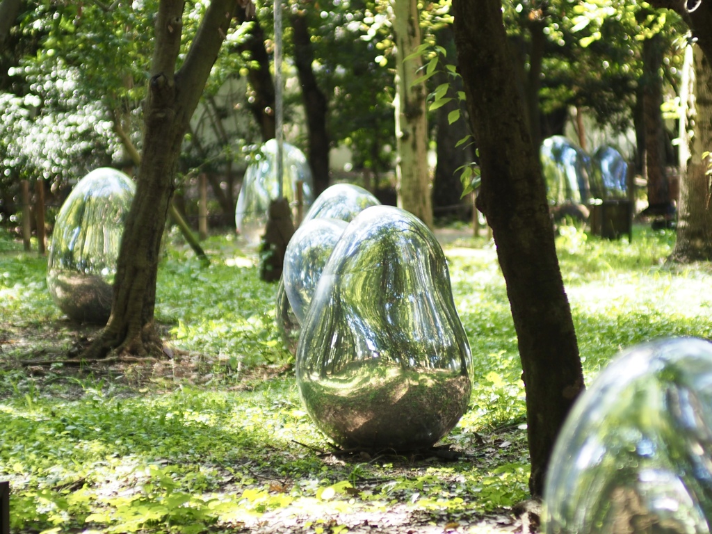 森の中のたまご