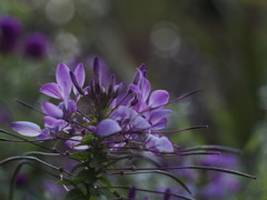 秘密のひととき