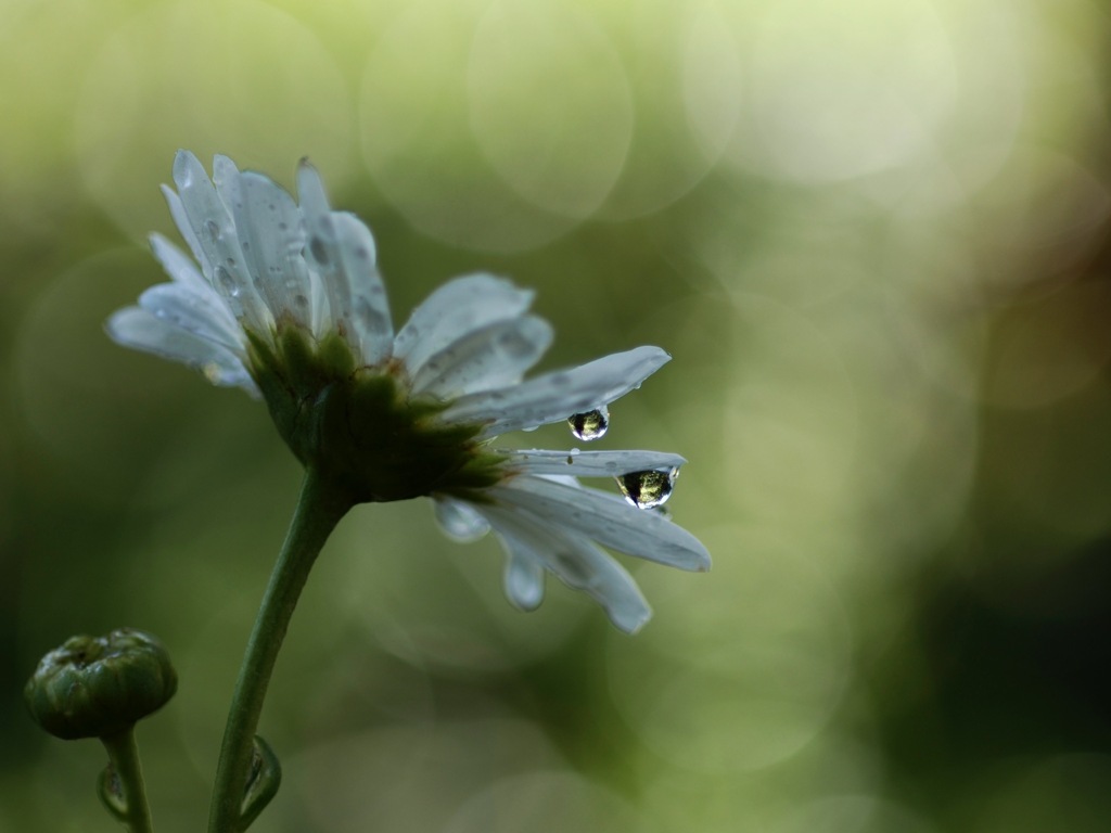 水いただきました！