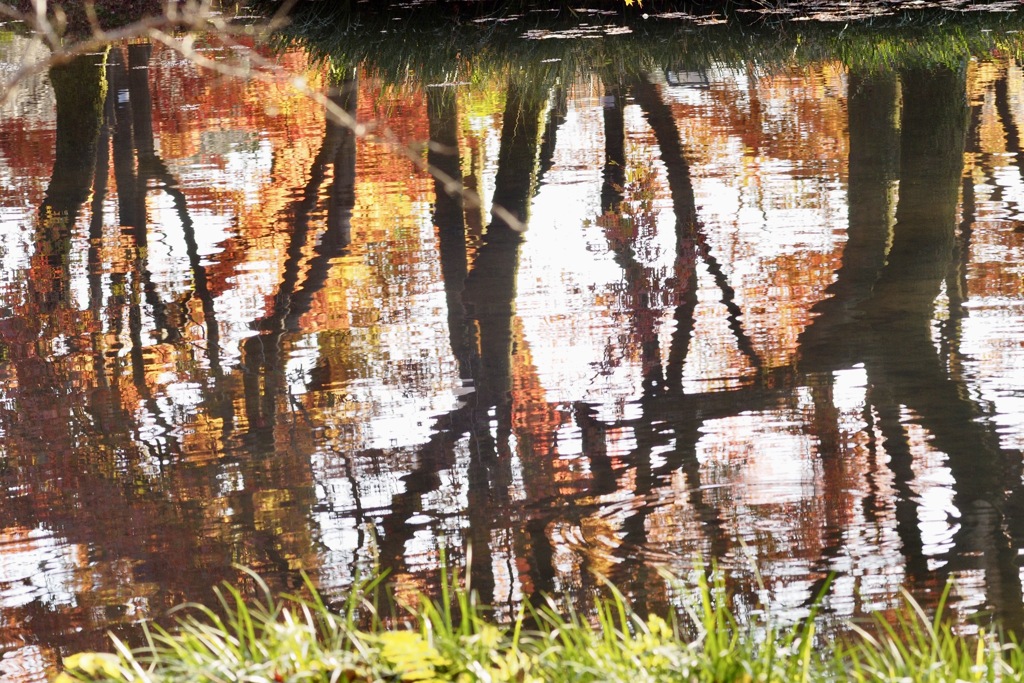 向こう岸の紅葉
