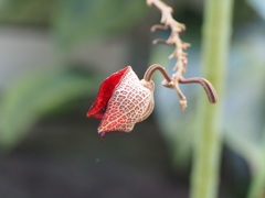 実は情熱的なんです