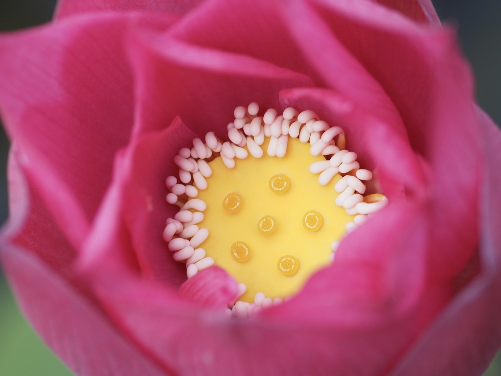 美味しそう❣️