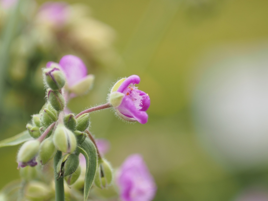 幸せなひととき