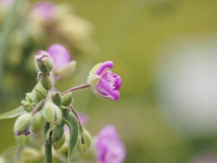 幸せなひととき