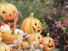 ハッピー　ハロウィン