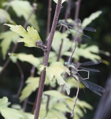 どういう関係？