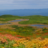 沼の平