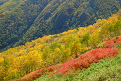 秋の登山道にて
