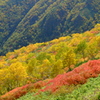 秋の登山道にて