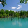 新緑の青い池