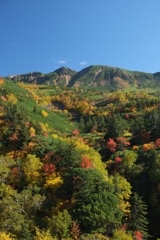 秋たけなわの十勝岳温泉