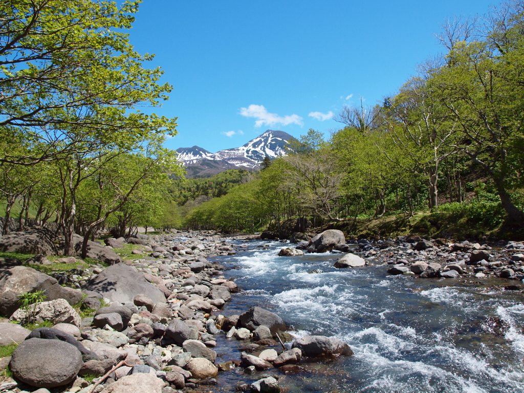 新緑の岩尾別川と羅臼岳